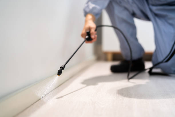Professional exterminator conducting IPM assessment in Chelsea